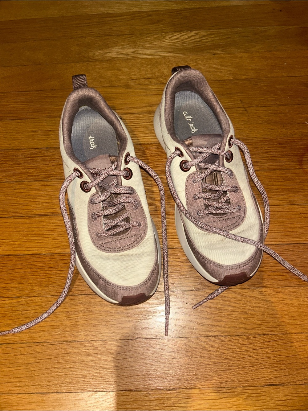 Allbirds Canvas Cruiser in Beige/Red Low Top Sneaker